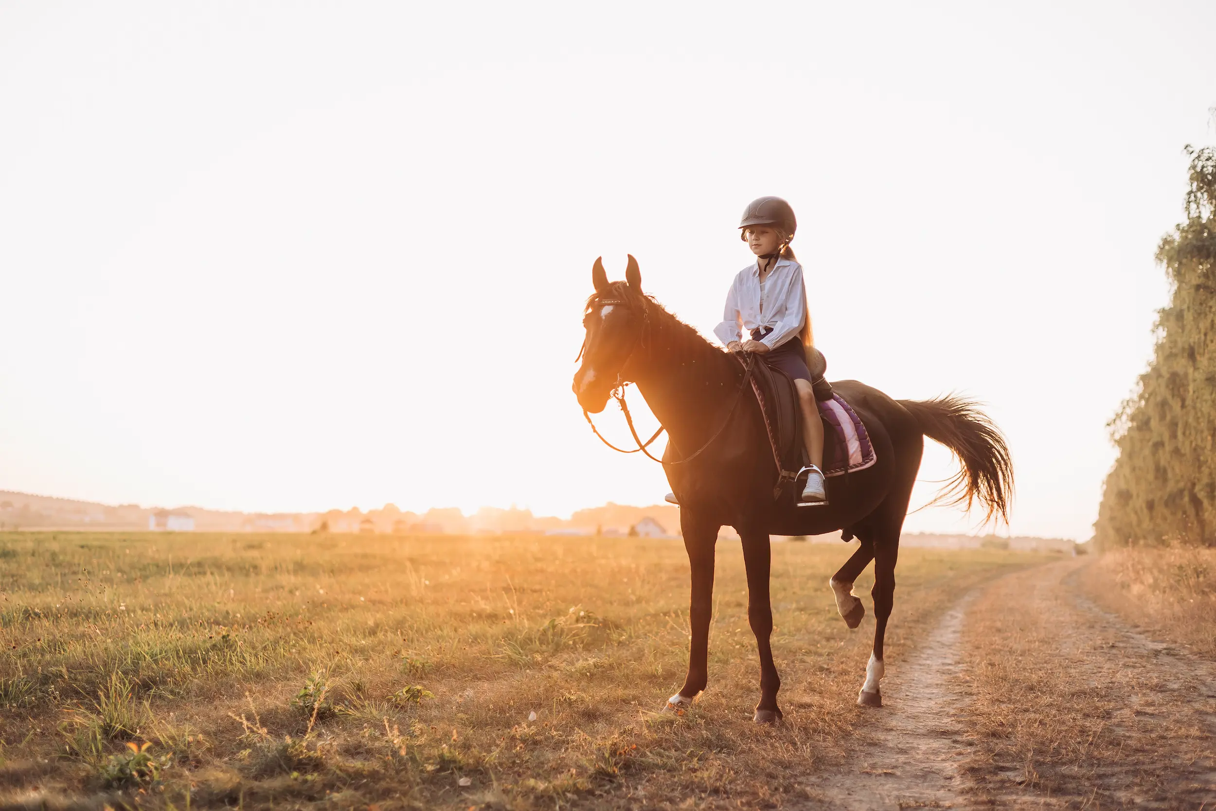 A child is joyfully riding a beautiful horse