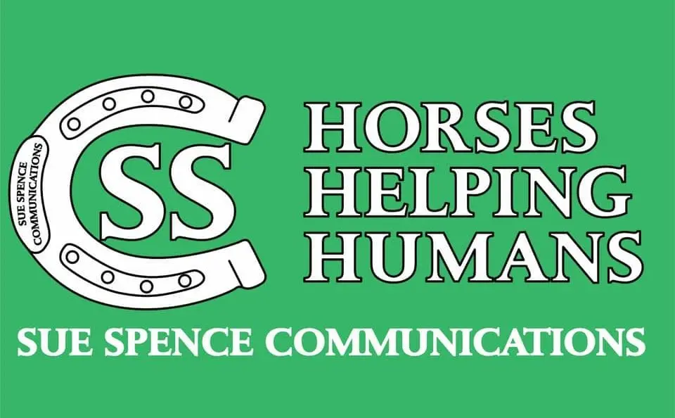 Horses helping human